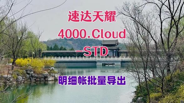 速达天耀4000STD明细帐批量导出 #速达天耀4000STD明细帐批量导出 #速达天耀 #速达财务软件 #速达4000 #速达软件
