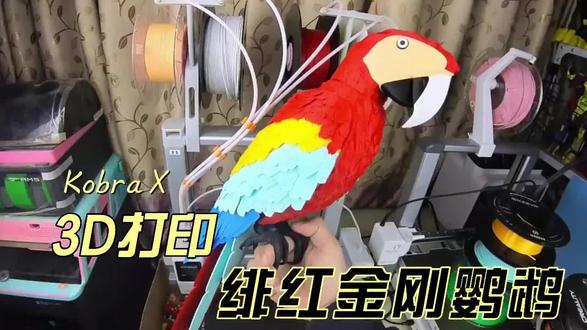 3D 打印绯红金刚鹦鹉~纵维立方Kobra X #纵维立方 #纵维立方KX #3D打印机