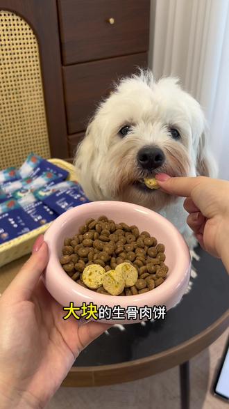 养狗想省钱的快来薅蓝氏的羊毛 #蓝氏 #蓝氏狗粮 #鸭肉梨狗粮