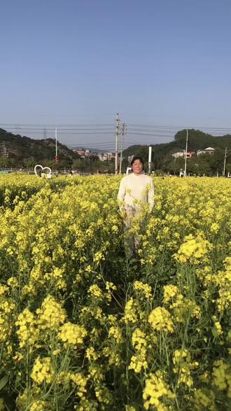 #上热门话题🔥🔥🔥 #又是一年油菜花盛开的季节 #油菜花打卡 2026.3.10