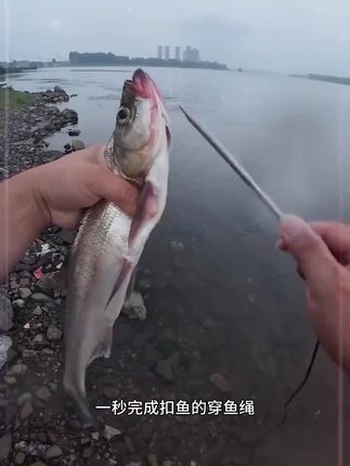 #户外钓鱼 #钓鱼人 #实用小技巧 #野钓 #活鱼扣