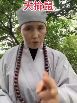 #生肖鼠 #属鼠 #鼠