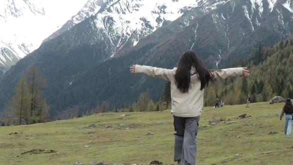 东拼西凑 假装很自由