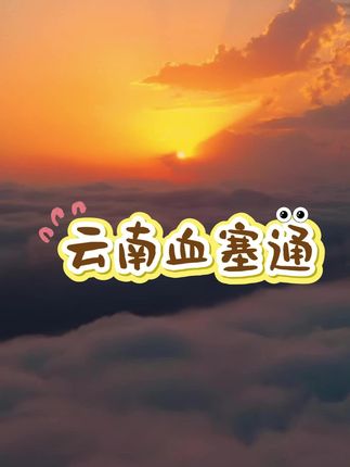 #云南血塞通 #血塞通 #云南野生血塞通