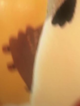 围脖