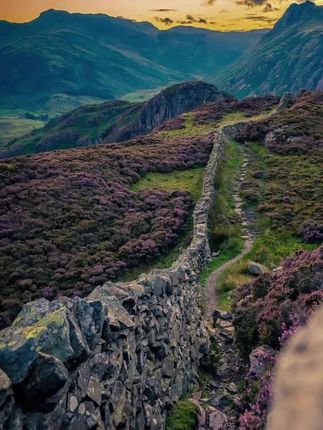 #张予曦毕雯珺真拍了红裙抱 #深情眼 #张予曦 #毕雯珺#灵笼2完结