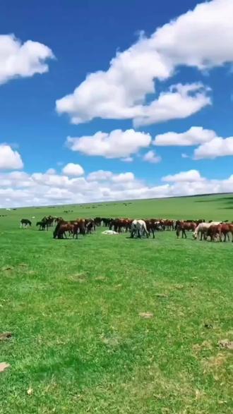 邀你共同欣赏#泰戈尔的代表作#《用生命影响生命》#愿我们都能活成一束光#绽放着所有的美好