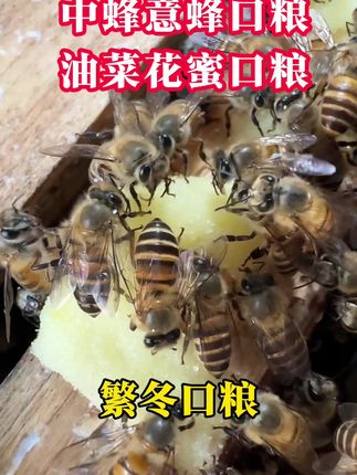 中蜂意蜂口粮 #蜜蜂养殖。