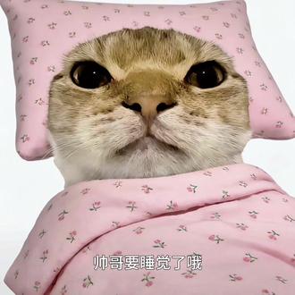 帅锅要睡觉了哦,尊滴困了#帅哥要睡觉了不许暗恋我 #鼠鼠猫 #外星猫