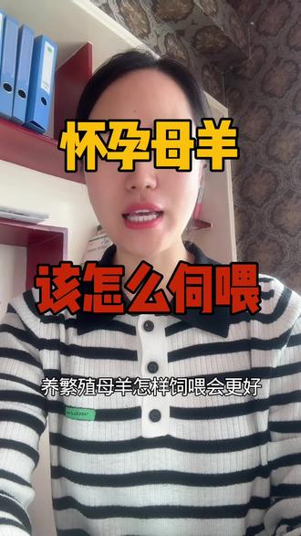 母羊孕期饲养攻略!做好这几点,羔羊成活率翻倍。