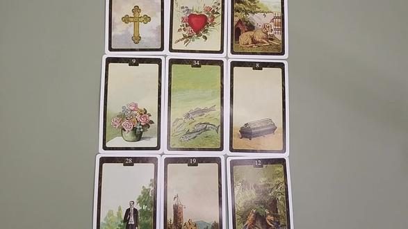 蓝战非南非事件分析#蓝战非