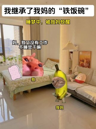 《岁岁饭碗》第9集丨#猫meme小剧场 #超爆小故事 #给瓦火 #书荒推荐