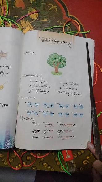 小学藏文一年级上册81页