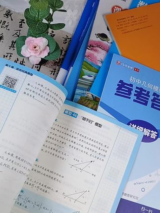 初中玩转几何模型和辅助线