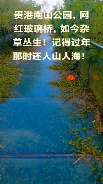 贵港南山公园,网红玻璃桥,如今杂草丛生!
