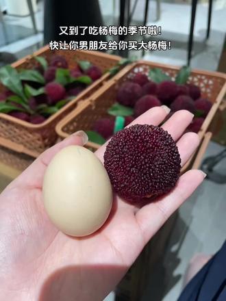 又到了吃杨梅的季节啦,酸甜可口真的巨好吃!#杨梅 #杨梅熟了 #东魁杨梅 #新鲜应季水果 #现摘现发新鲜到家