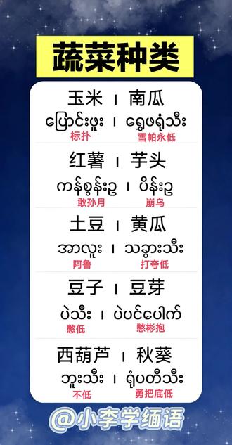 缅甸语小课堂#缅甸#东南亚#每天学习一点点 #缅甸语教学 #缅语学习课堂 @抖音小助手 @抖音作者助手 @DOU+小助手