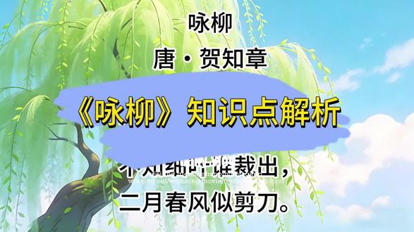 二年级语文下古诗二首咏柳 重点知识同步解读#咏柳古诗配画 #二年级语文下 #同步语文课本 #古诗二首