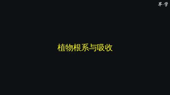 植物根系与吸收 #趣味科学 #科学科普