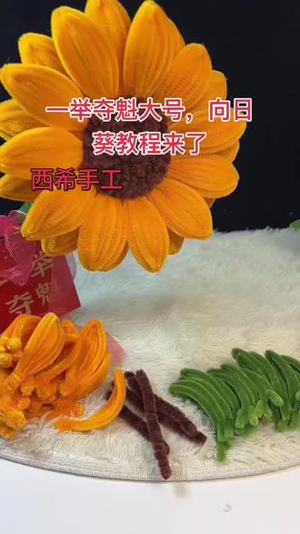 一举夺魁大号向日葵的教程来了!#向阳而生 # 一举夺魁