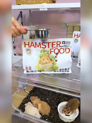 挑食鼠鼠,每次鼠粮都扔一半的,可以安排这个烘焙粮,让鼠鼠没有挑食的机会!#鼠粮 #仓鼠烘焙粮 #仓鼠饮食#仓鼠主食#仓鼠粮食推荐