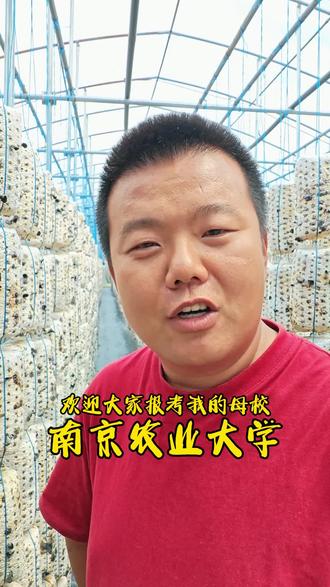 欢迎大家报考南京农业大学 #南京农业大学 #高考成绩 #报考 #回家种地