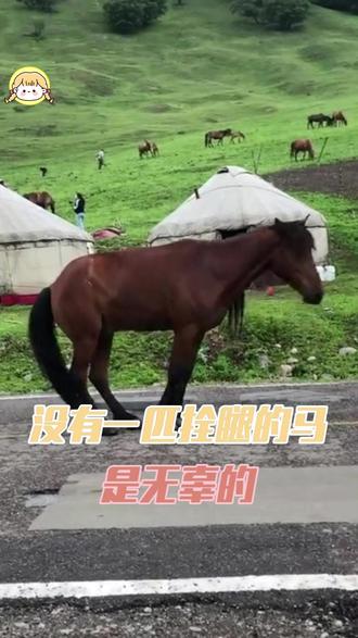 没有一匹拴腿的马是无辜的 t#马 #绑腿 #动物 #魔丸