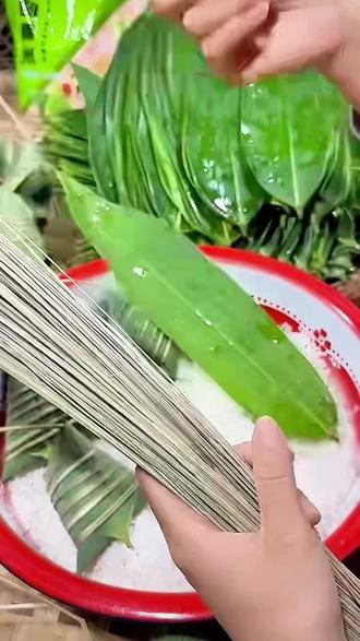 端午节包粽子,用马莲草、芦苇叶和糯米#端午包粽我先抢跑了 #粽子新包法 #马莲草#芦苇叶