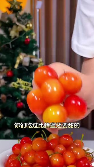 比蜜甜的正宗大连黄蜜樱桃来啦 介绍山东烟台黄蜜大樱桃,新鲜味美、汁水足,邀你品尝购买。