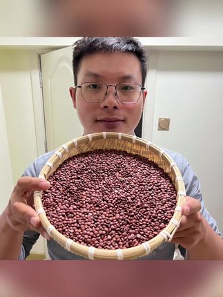 【本草李博士】正宗酸枣仁河北道地酸枣仁精选优质酸枣仁搭配枸杞#酸枣仁#养生茶#养生#大自然的馈赠