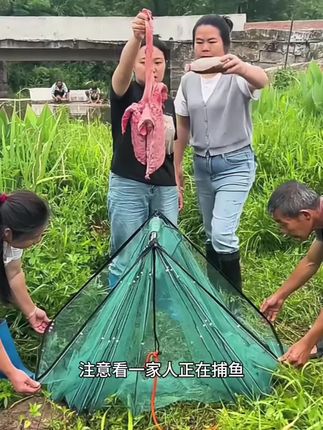 【2025新款尼龙鱼虾笼】可折叠带拉链尼龙加厚不怕撕收纳便携网笼#我的乡村生活 #户外捕鱼 #新农人计划 #抓鱼