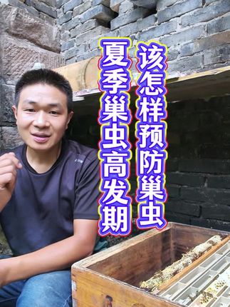 夏季巢虫高发期,该怎样来预防巢虫 #巢虫 #蜜蜂渡夏 #巢虫喷雾 #无限回购的宝藏单品