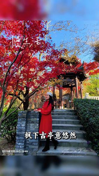 扬州朴园位于江苏省扬州市江都区丁伙镇北环路18号,是国家AAA级旅游景区。
以下是其详细介绍:
• 创建时间:2007年由企业家朱林投资兴建,2014年获评国家AAA级旅游景区。
• 园区规模:占地约1000亩,其中拥有5000余株朴树,是全国规模最大的朴树种植基地。
• 景观特色:园区采用“东园水景、中园花木、西园山石”的布局。东园有蜚廉湖,湖边有仿照瘦西湖二十四桥建造的拱桥;中园是植物的王国,有共生百年的紫薇与桂树等;西园以山石景观为主,有“犀牛望月”的湖石山子和假山瀑布群。园内还有一株1200岁的老桩紫薇,形似卧龙,被称为镇园之宝。
• 文化内涵:朴园名字寓意“返朴归真”,传承了清代“淮南第一名园”古朴园的造园理念。园区内有镌刻着《朴园赋》的巨石,背面刻有“返朴归真”六个大字,增添了文化气息。
• 开放情况:全年免费开放,开放时间为00:00-24:00,年接待游客量达10万余人次。
非常值得游玩的一个园林,景美人少还免费!