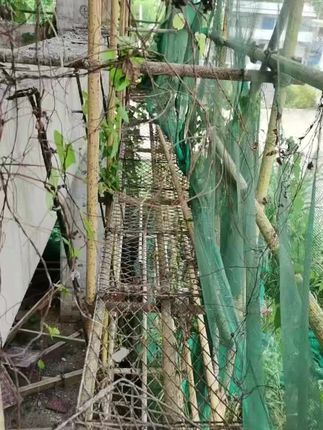 #施工现场实拍