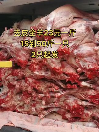 去皮全羊23元一斤，15到50斤一只，2只起发#全羊 #去皮全羊 #牛羊肉批发 #支持全国发货