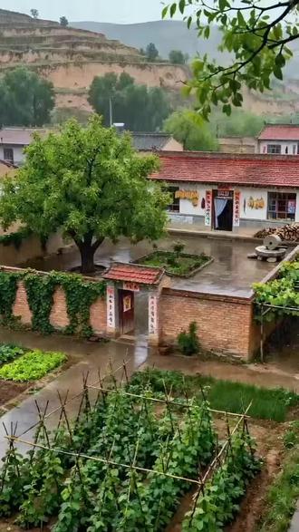 #厨房日记 保家卫国人人有责