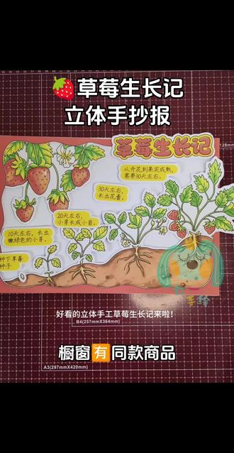 草莓生长记立体手抄报 制作草莓生长记,立体手抄报,自然笔记手抄报,手工diy#草莓生长过程 #草莓生长记 #草莓手抄报 #立体手抄报 #草莓自然笔记