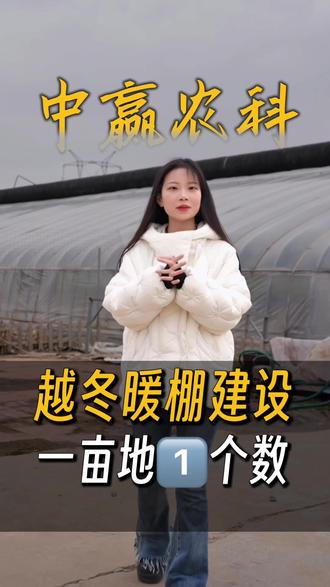 越冬暖棚一亩地一个数#大棚种植#温室大棚安装设计#温室大棚建造#温室大棚养殖#大棚种植