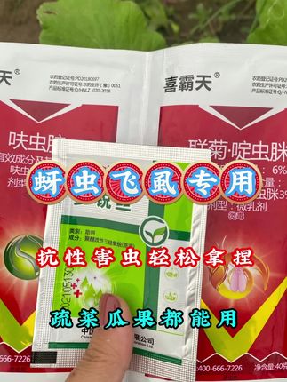 轻松拿捏蚜虫 飞虱等抗性害虫,瓜果蔬菜能用,##新农人计划 #三农种植 #服务三农 #抖音助农#来抖音学农技