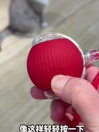 宠物玩具猫咪狗狗玩具球跳跳球耐咬解闷神器猫玩具宠物宠物猫玩具#解闷神器 #逗猫逗狗 #玩具 #逗猫神器 #宠物