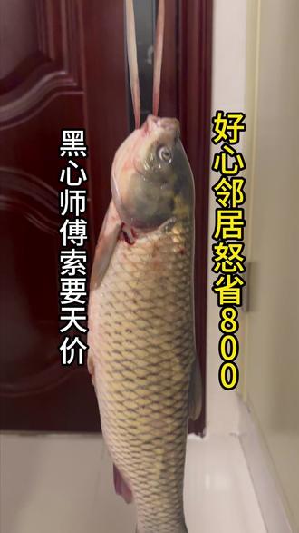 有好邻居帮忙 有好邻居帮忙#助人为乐