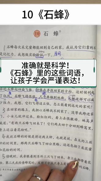 三下第十课《石蜂》 “大概”“好像”“几乎”——这些词看似模糊,却藏着科学家的严谨!《石蜂》里的语言密码,孩子一学就会! #石蜂 #三年级语文下册 #第三单元复习 #语文要素 #法布尔