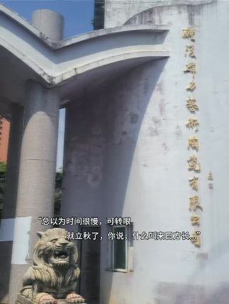 总以为时间很慢,转眼立秋,一年过半,恍惚像昨天才立春。#立秋 #釉下五彩