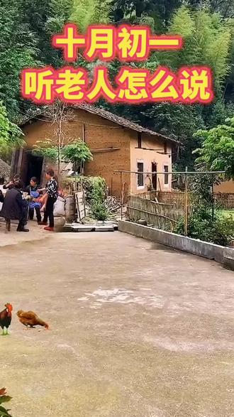 十月初一听老人怎么说##今日三农爆款 #民间俗语老人言 #新农人计划2023#二十四节气 #抖音助农