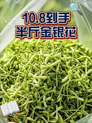 回购好多次的金银花茶,10.8就到手250克,泡出来的茶清澈透亮,口感也特别好#金银花 #金银花茶 #泡茶神器 #茶生活