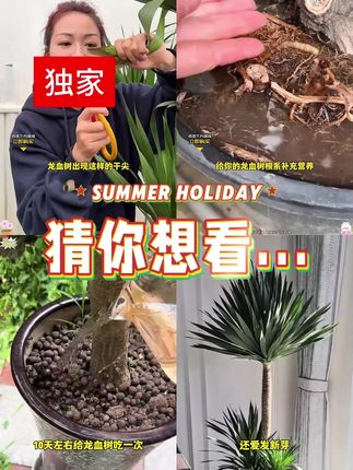 #显瘦穿搭 #穿出自己的风格 #清凉一夏 #简约穿搭 #不挑年龄不挑身材