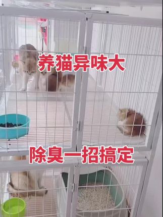 #养猫的乐趣 #猫舍除臭