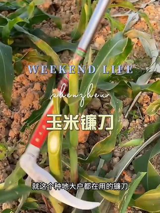 #农用工具#农民好帮手#镰刀