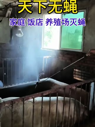 蚊蝇一扫光 无色无味安全灭蝇