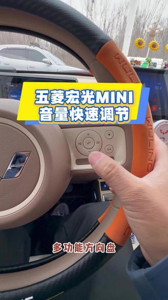 五菱宏光MINI快速调节音量 #五菱宏光mini#五菱宏光miniev#五菱宏光mini马卡龙#五菱宏光迷你#五菱宏光MINI